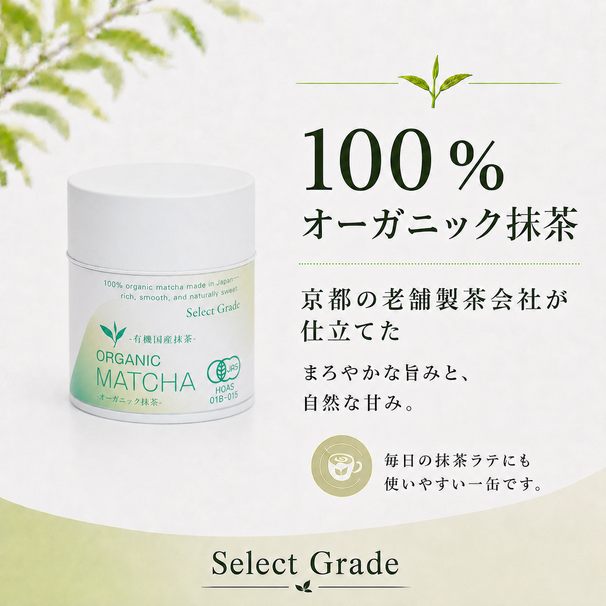 おうち抹茶スターターセット Select