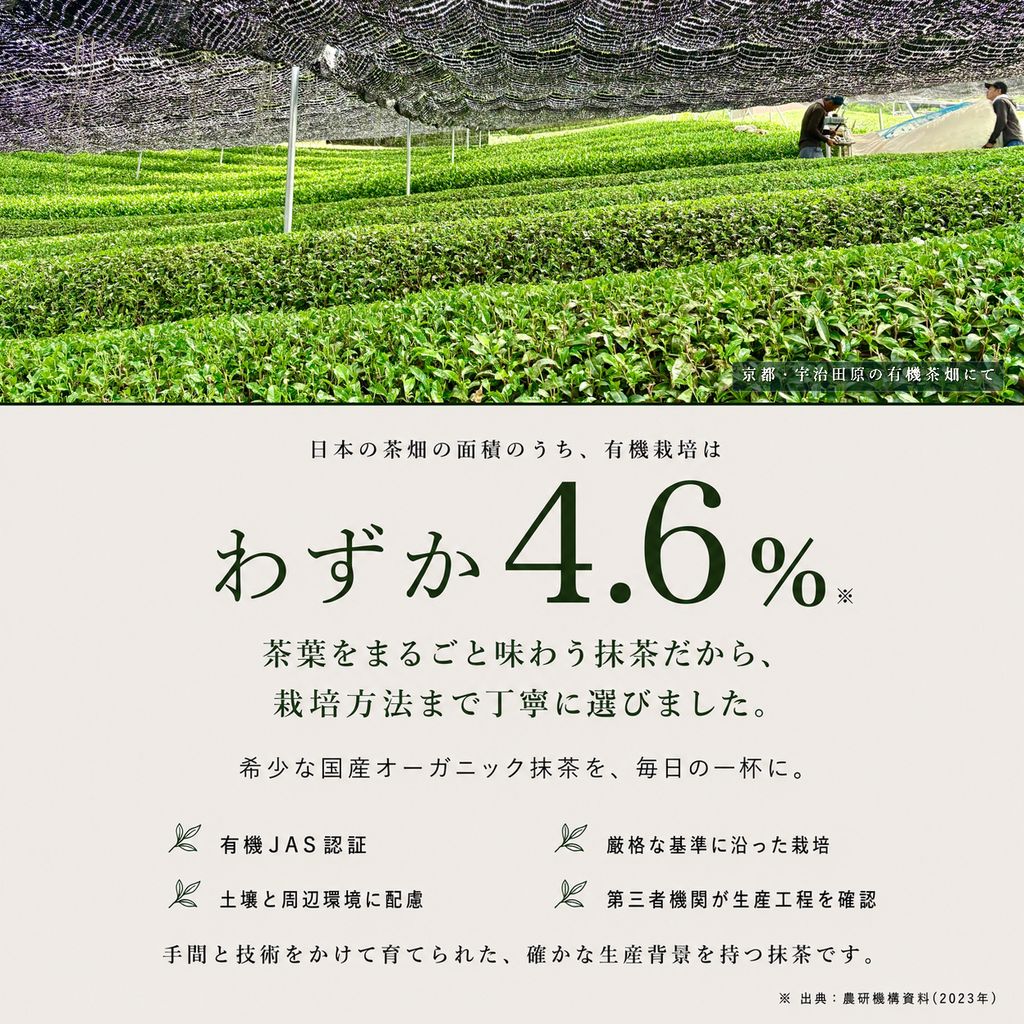 おうち抹茶スターターセット Premium